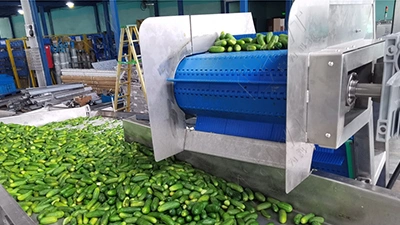 Línea de producción de pepinillo enlatado