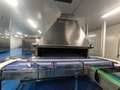 Pasteurizador de túnel por aspersión de agua